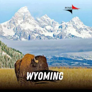 Private Investigator Wyoming Services