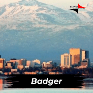 Badger Alaska Private Investigative Services