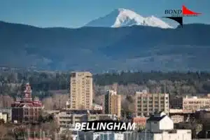 Bellingham Washington Private Investigator Services