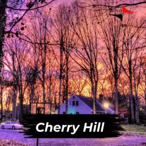 Cherry Hill New Jersey Private Investigator Services