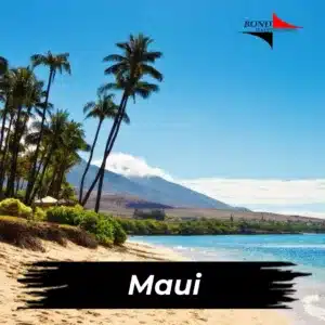 Maui Hawaii Private Investigator Services | Licensed & Insured