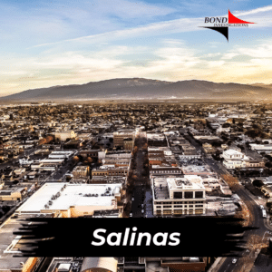 Salinas California Private Investigator Services | Best Detectives. Uncover the real truth with Bond Investigations in the United States.
