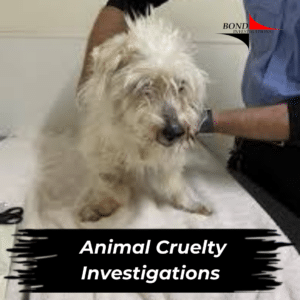Animal Cruelty Investigations by top rank detectives in united states