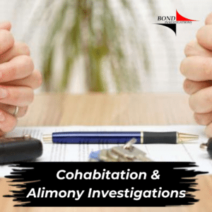 Cohabitation and Alimony Investigations