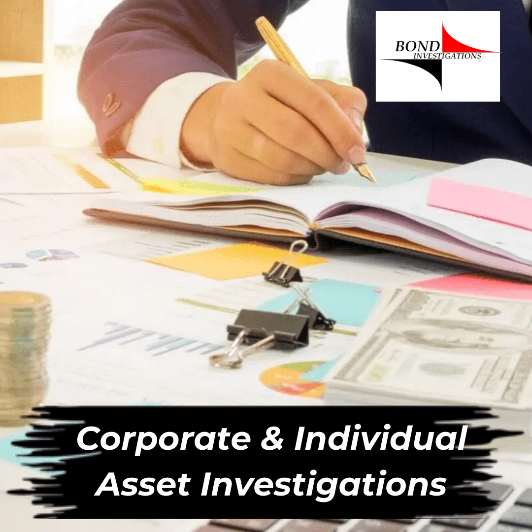 Corporate and Individual Asset Investigations by Top Rated PI's