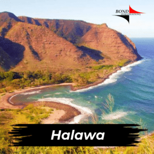 Halawa Hawaii Private Investigator Services
