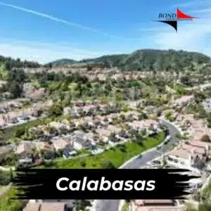 Calabasas California Private Investigator Services